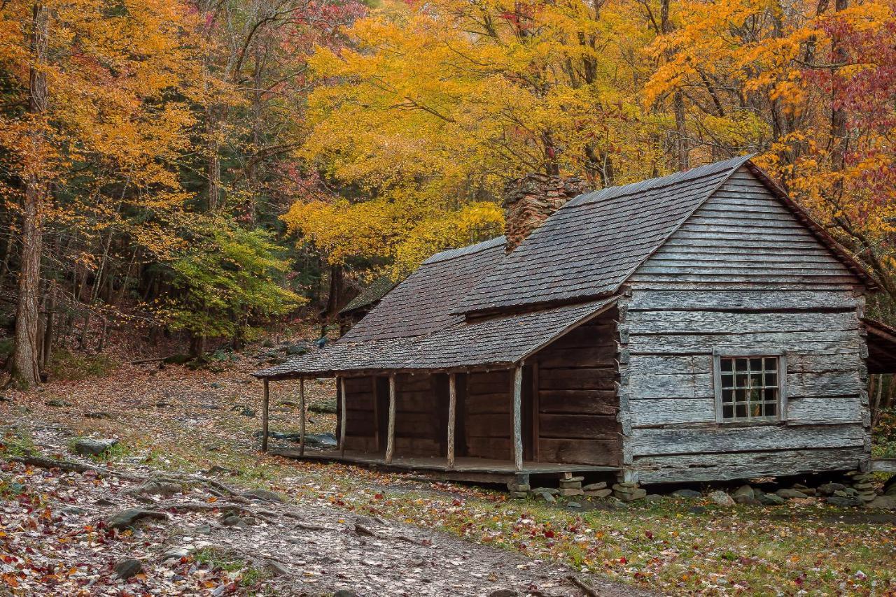 Love Shack Sevierville Extérieur photo